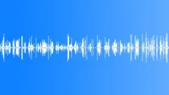 Walking Cautious on Wooden Floor, Creaking Loud and Unsafe - Loop Sound Effect