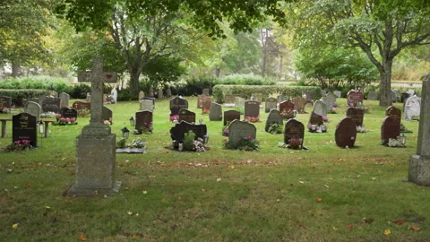 Walking at a cemetery, handheld camera. Stock Footage 141462754