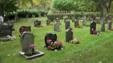 Walking at a cemetery looking for headstone, handheld camera. Stock Footage 141464165