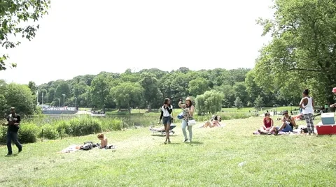 Walking Central Park Stock Footage 48336335