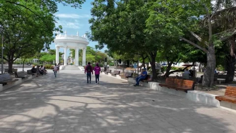 Walking Cienaga Main Square with Trees and Pedestrians Stock Footage 341369232