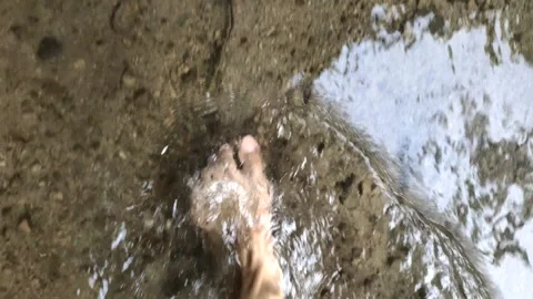Walking in A Clear River in Indonesia Stock Footage 324351370