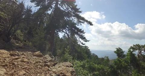 Walking on a cliff trail. Stockbeeldmateriaal 63618585