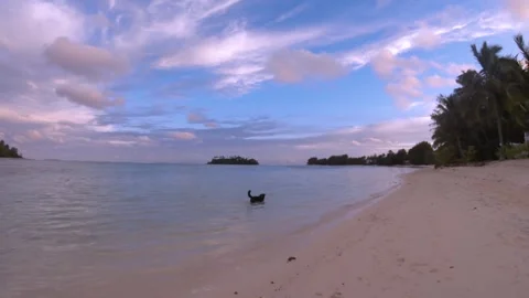 Walking close up view from Muri Beach Cook Islands to Koromiri and Taakoka islet Stock Footage 235312749