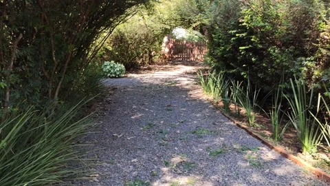 Walking on a closed path through bushes. Stock Footage 153722299