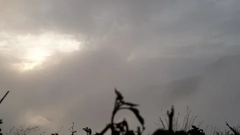 Walking cloud 库存影片 218438239