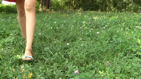 Walking on clover Vidéo 27739388