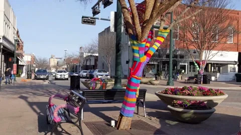 Walking up to colorful fabric-wrapped tree prior to opening of an arts festival Vídeos de archivo 232184053