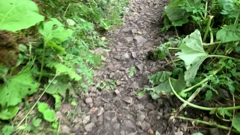 Walking in the countryside. Stock Footage 137645601
