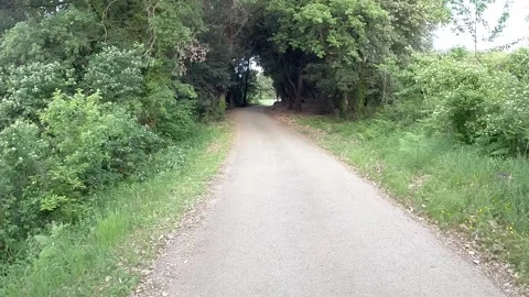 Walking on a countryside road Stock Footage 137668749