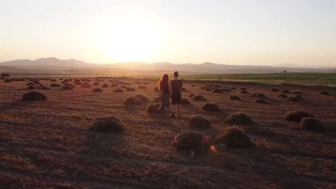 Walking Couple in Endless Fields at Sunset Video stock 137302055