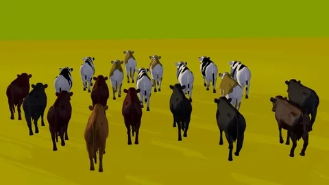 WALKING COWS BACK AXO VIEW Vídeos de archivo 74952563