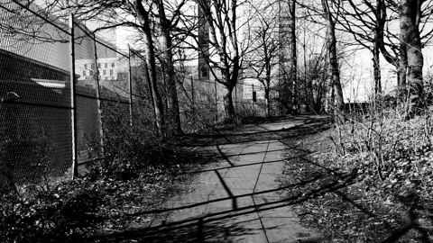 Walking a crooked path surrounded by bare trees Stock Footage 171800302