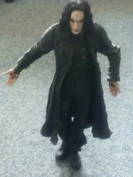 Walking  CROW Stock Photos