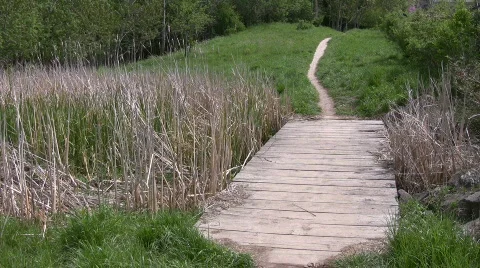 Walking a Dachshund over wood walkway Stock Footage