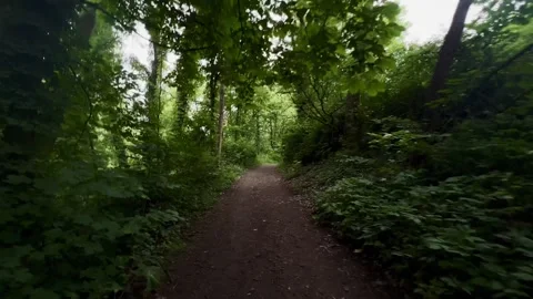 Walking on a dark pathway in a green park Stock Footage 276478380