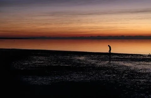 Walking at Dawn Stock Photos