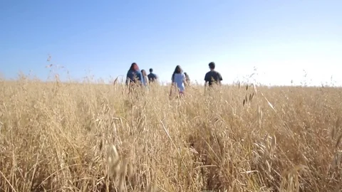 Walking on de field tilt Stock-Footage 69718777