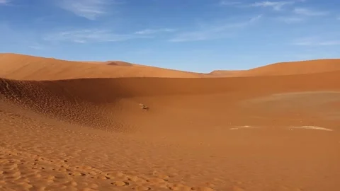 Walking to Dead Vlei on red sand with background dunes of Sossusvlei Stock Footage 151979073