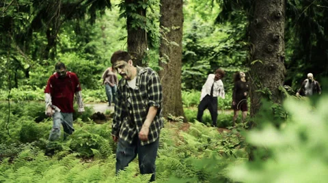 Walking Dead Zombies Stock Footage 30394343