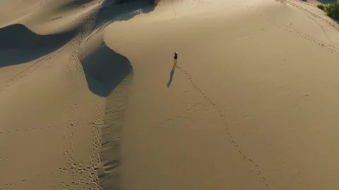 Walking In The Desert Aerial View Stock Footage 236706847