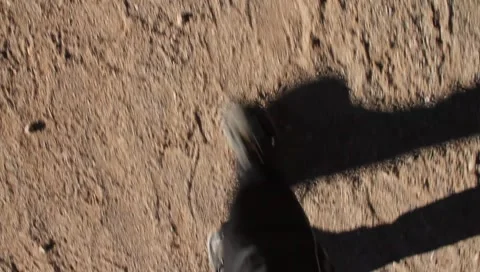Walking in desert POV 1159 Stock Footage 1033616