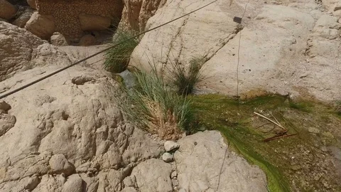 Walking By Desert Stream Stock Footage 77878511