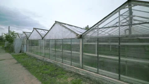 Walking in direction of a bunch of empty greenhouses, glass greenhouses Stock Footage 213370187