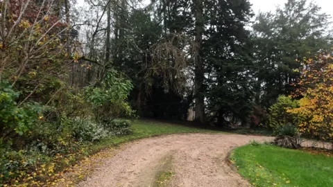 Walking in a dirt path in the middle of the forest in the suburb of the cit.. 動画素材 228240488