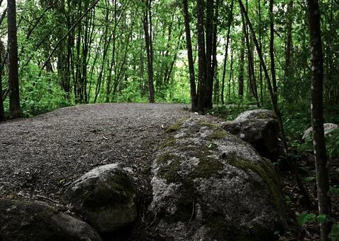 Walking dirt path in the park Stock Photos