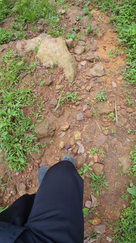 Walking on a Dirt Path Surrounded by Greenery. POV Video stock 308363771