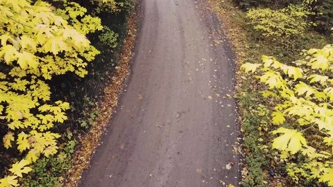 Walking dirt road in the Fall Umbrella Stock Footage 81832987