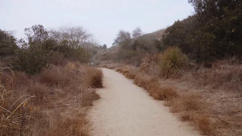 Walking Dirt Trail with Brown Foliage Stock Footage 101445933