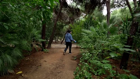 Walking dock Video stock 82451654