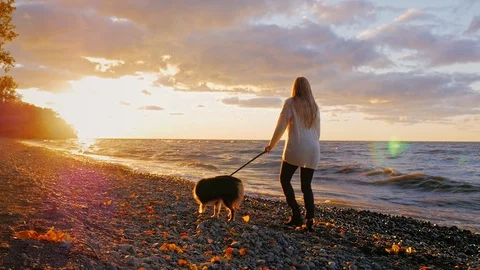 Walking the dog along the bank of a lake or the sea. Dramatically beautiful Stock Footage