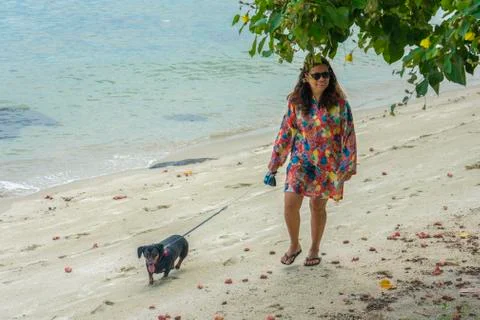 Walking the dog on a beach Stock Photos