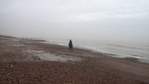 Walking dog on the Brighton Beach Video stock 123335577