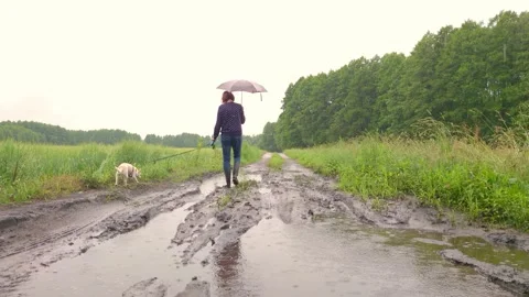 Walking with dog in a countryside Stock Footage 150589686