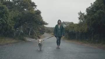 Walking the dog in the downpour Video stock 85855464