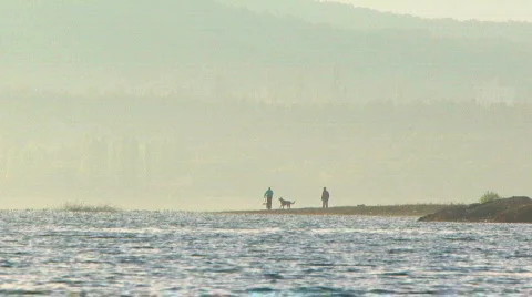 Walking the dog Stock Footage 854077