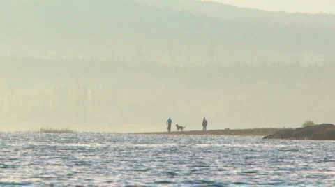 Walking the dog Stock Footage 1394768