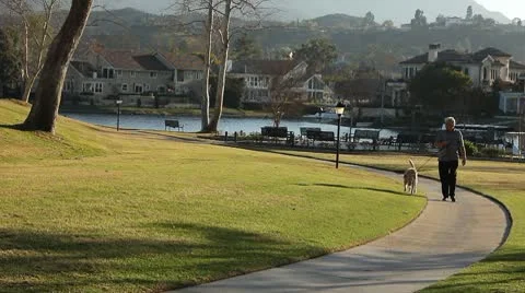 WALKING THE DOG Stock Footage 10795115