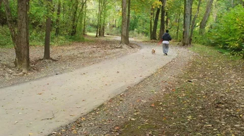 Walking the Dog Stock Footage 43062730