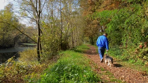 Walking with the dog Stock Footage 100111215