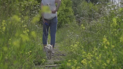 Walking with dog Vídeo Stock 148291941