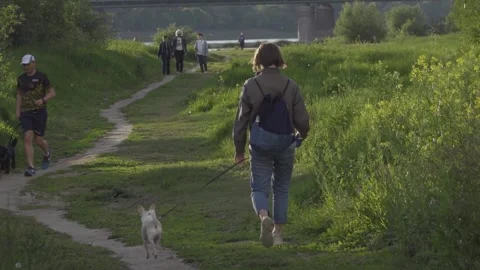 Walking with dog Stock Footage 148291944