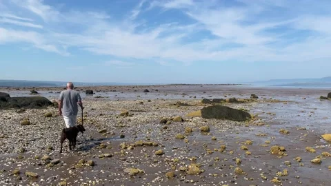 Walking the dog Stock Footage 156600367