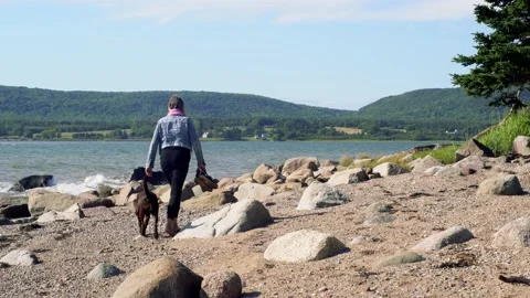 Walking the dog Stock Footage 158048753