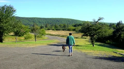 Walking the dog Stock Footage 158385944