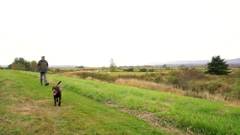 Walking the dog Stock Footage 162904442
